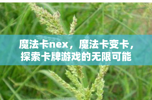 魔法卡nex，魔法卡变卡，探索卡牌游戏的无限可能