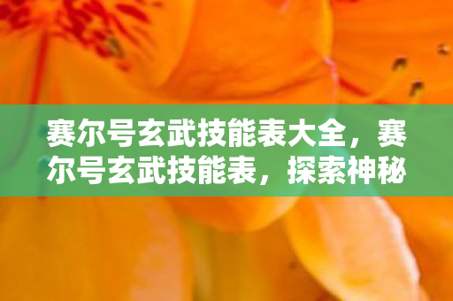 赛尔号玄武技能表大全，赛尔号玄武技能表，探索神秘力量的战斗艺术