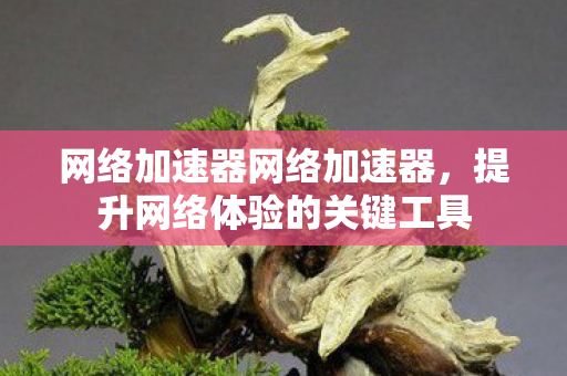 网络加速器网络加速器，提升网络体验的关键工具