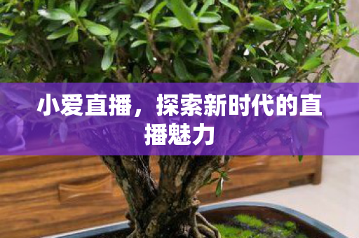 小爱直播，探索新时代的直播魅力