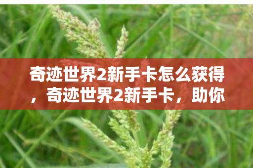 奇迹世界2新手卡怎么获得,奇迹世界2新手卡,助你启程的钥匙 奇迹世界2新手卡怎么获得,奇迹世界2新手卡,助你启程的钥匙