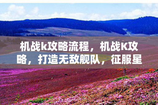 机战k攻略流程，机战K攻略，打造无敌舰队，征服星际战场