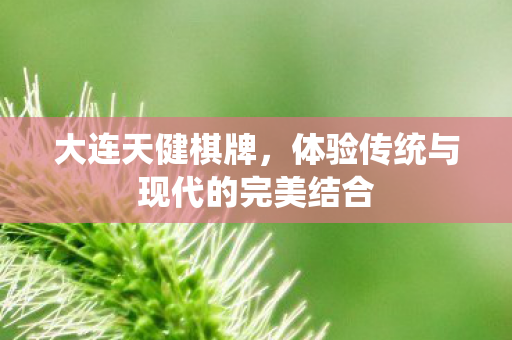 大连天健棋牌，体验传统与现代的完美结合