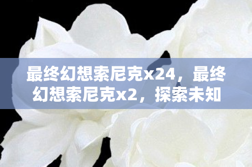 最终幻想索尼克x24，最终幻想索尼克x2，探索未知世界的奇幻之旅