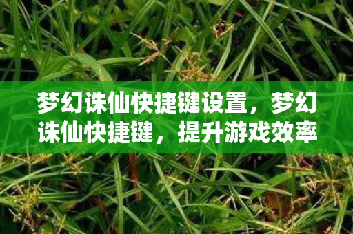 梦幻诛仙快捷键设置，梦幻诛仙快捷键，提升游戏效率的关键