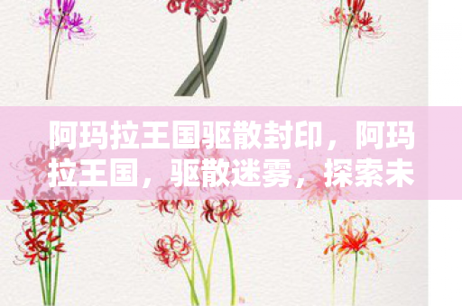 阿玛拉王国驱散封印，阿玛拉王国，驱散迷雾，探索未知领域的奇幻之旅