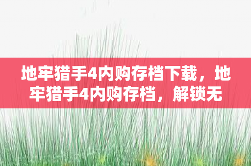 地牢猎手4内购存档下载，地牢猎手4内购存档，解锁无限可能的冒险之旅