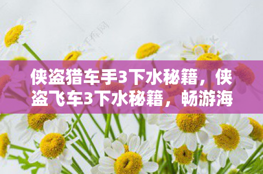 侠盗猎车手3下水秘籍，侠盗飞车3下水秘籍，畅游海底世界的秘密