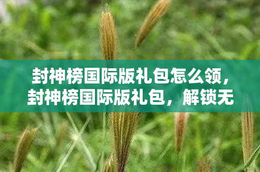 封神榜国际版礼包怎么领，封神榜国际版礼包，解锁无限可能的冒险之旅
