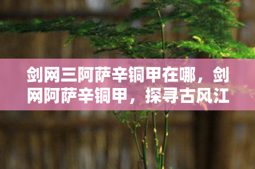 剑网三阿萨辛铜甲在哪，剑网阿萨辛铜甲，探寻古风江湖的终极装备