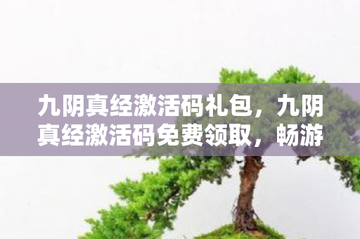 九阴真经激活码礼包，九阴真经激活码免费领取，畅游武侠世界的钥匙