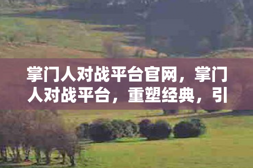掌门人对战平台官网，掌门人对战平台，重塑经典，引领游戏新风尚