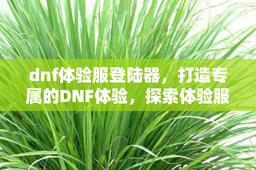 dnf体验服登陆器，打造专属的DNF体验，探索体验服登录器的魅力