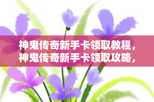 神鬼传奇新手卡领取教程，神鬼传奇新手卡领取攻略，轻松获取丰厚奖励