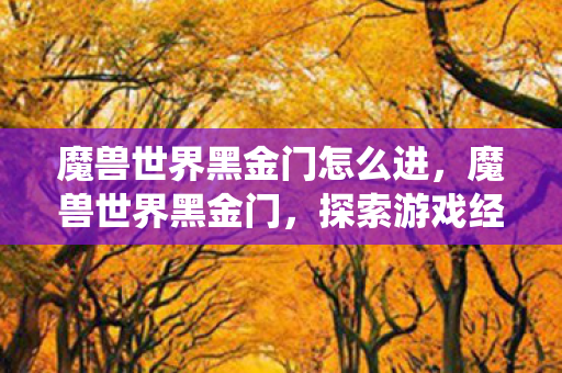 魔兽世界黑金门怎么进,魔兽世界黑金门,探索游戏经济系统的奥秘 魔兽世界黑金门怎么进,魔兽世界黑金门,探索游戏经济系统的奥秘