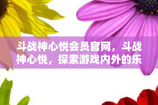 斗战神心悦会员官网，斗战神心悦，探索游戏内外的乐趣与体验