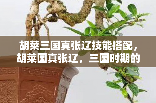 胡莱三国真张辽技能搭配，胡莱国真张辽，三国时期的勇猛战将