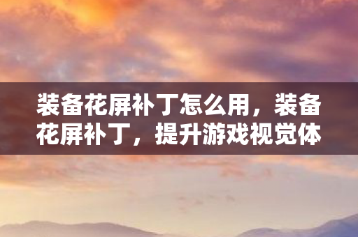 装备花屏补丁怎么用，装备花屏补丁，提升游戏视觉体验的新利器
