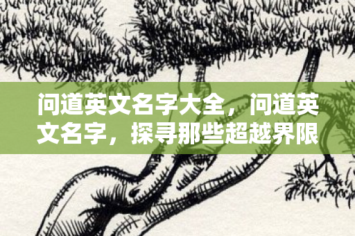 问道英文名字大全，问道英文名字，探寻那些超越界限的奇妙命名
