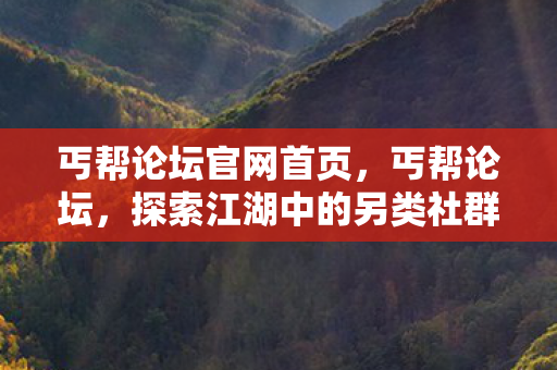 丐帮论坛官网首页，丐帮论坛，探索江湖中的另类社群