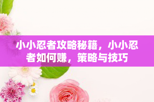 小小忍者攻略秘籍，小小忍者如何赚，策略与技巧