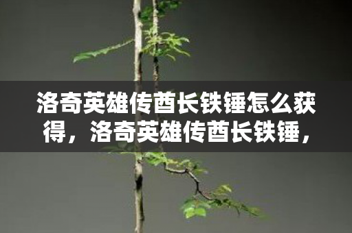 洛奇英雄传酋长铁锤怎么获得，洛奇英雄传酋长铁锤，传奇英雄的锻造之路