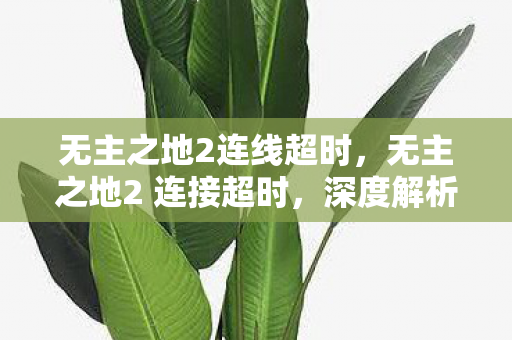 无主之地2连线超时，无主之地2 连接超时，深度解析游戏网络问题