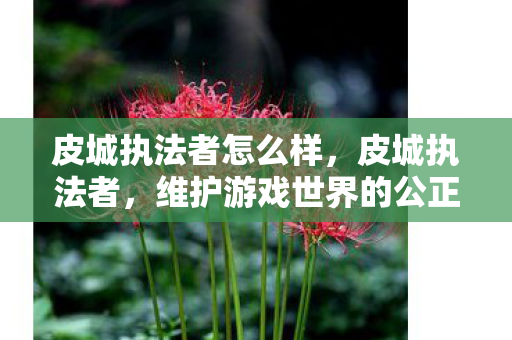 皮城执法者怎么样，皮城执法者，维护游戏世界的公正与秩序