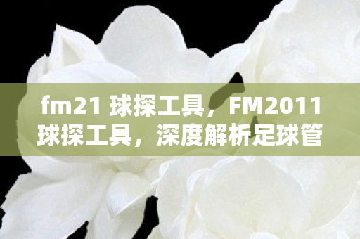 fm21 球探工具,FM2011球探工具,深度解析足球管理模拟的得力助手 fm21 球探工具,FM2011球探工具,深度解析足球管理模拟的得力助手