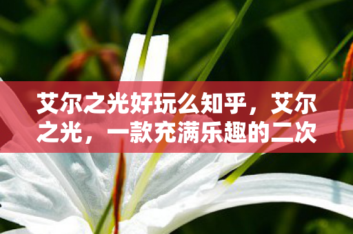 艾尔之光好玩么知乎,艾尔之光,一款充满乐趣的二次元动作冒险游戏 艾尔之光好玩么知乎,艾尔之光,一款充满乐趣的二次元动作冒险游戏