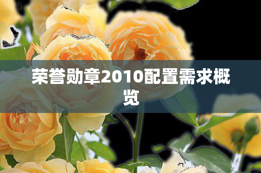 荣誉勋章2010配置需求概览