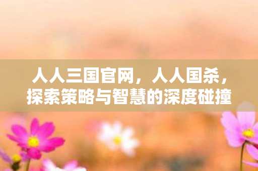 人人三国官网，人人国杀，探索策略与智慧的深度碰撞