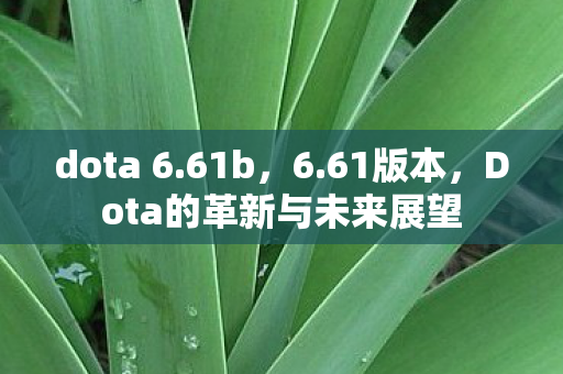 dota 6.61b，6.61版本，Dota的革新与未来展望