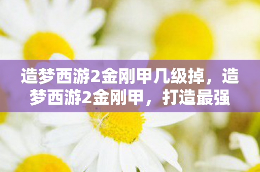 造梦西游2金刚甲几级掉,造梦西游2金刚甲,打造最强战甲,挑战西游极限 造梦西游2金刚甲几级掉,造梦西游2金刚甲,打造最强战甲,挑战西游极限