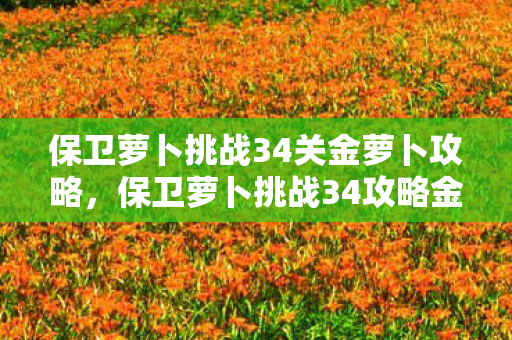 保卫萝卜挑战34关金萝卜攻略,保卫萝卜挑战34攻略金萝卜布阵图 保卫萝卜挑战34关金萝卜攻略,保卫萝卜挑战34攻略金萝卜布阵图