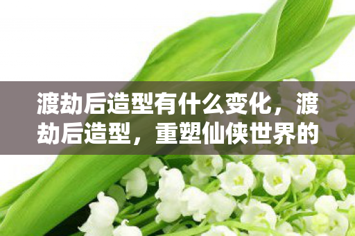 渡劫后造型有什么变化，渡劫后造型，重塑仙侠世界的绝美风采