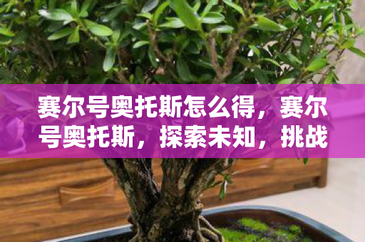 赛尔号奥托斯怎么得，赛尔号奥托斯，探索未知，挑战极限