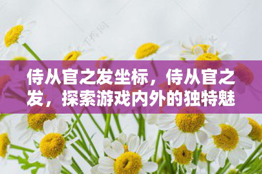 侍从官之发坐标，侍从官之发，探索游戏内外的独特魅力
