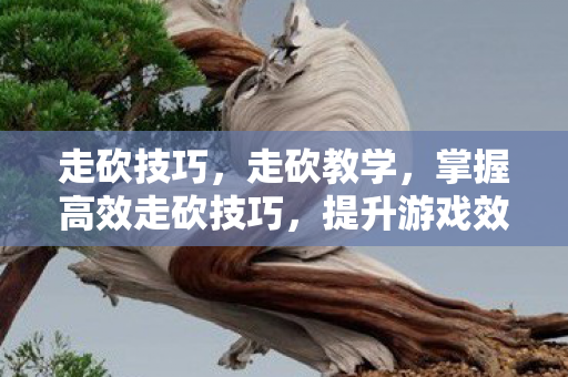 走砍技巧，走砍教学，掌握高效走砍技巧，提升游戏效率与体验