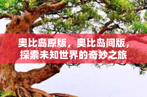 奥比岛原版，奥比岛间版，探索未知世界的奇妙之旅