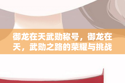 御龙在天武勋称号，御龙在天，武勋之路的荣耀与挑战