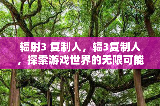 辐射3 复制人,辐3复制人,探索游戏世界的无限可能 辐射3 复制人,辐3复制人,探索游戏世界的无限可能