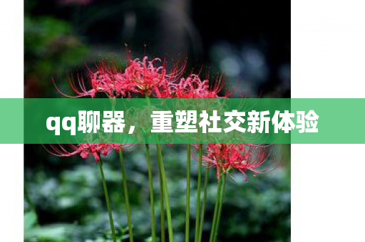 qq聊器，重塑社交新体验