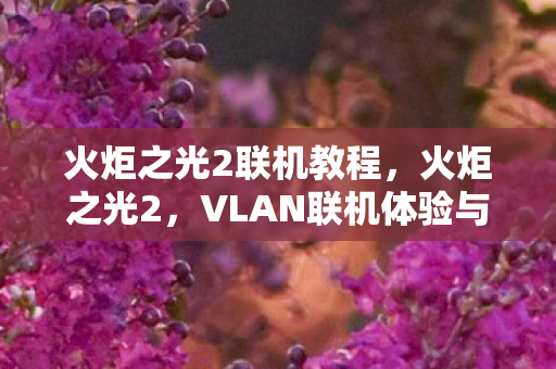 火炬之光2联机教程，火炬之光2，VLAN联机体验与攻略