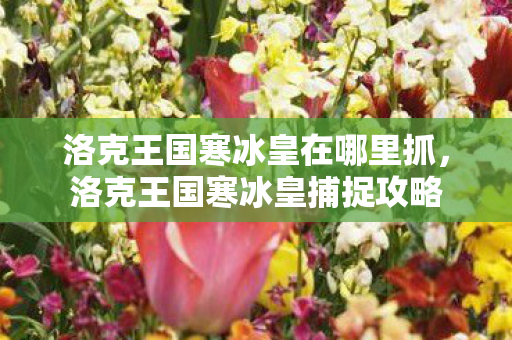 洛克王国寒冰皇在哪里抓，洛克王国寒冰皇捕捉攻略