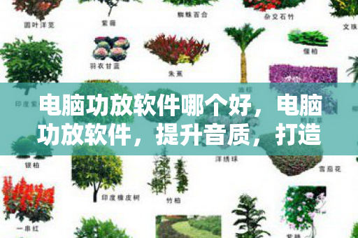 电脑功放软件哪个好,电脑功放软件,提升音质,打造专业音乐体验 电脑功放软件哪个好,电脑功放软件,提升音质,打造专业音乐体验