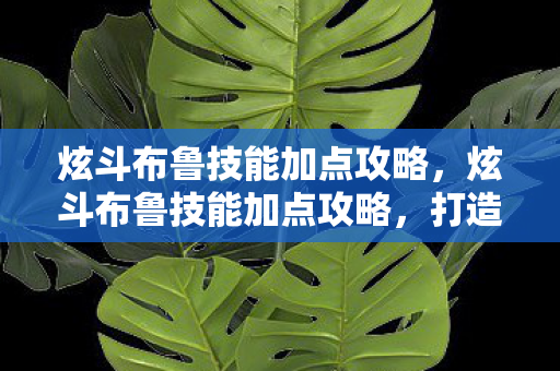 炫斗布鲁技能加点攻略,炫斗布鲁技能加点攻略,打造最强战斗力的关键 炫斗布鲁技能加点攻略,炫斗布鲁技能加点攻略,打造最强战斗力的关键