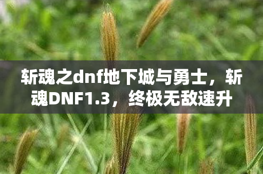 斩魂之dnf地下城与勇士,斩魂DNF1.3,终极无敌速升版,打造你的梦幻冒险之旅 斩魂之dnf地下城与勇士,斩魂DNF1.3,终极无敌速升版,打造你的梦幻冒险之旅