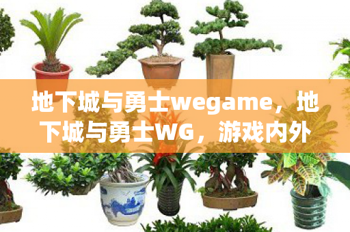 地下城与勇士wegame，地下城与勇士WG，游戏内外的不平等竞技