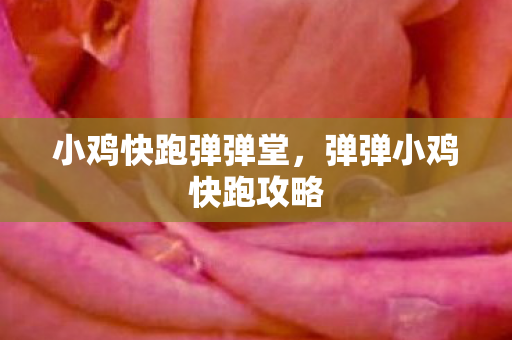小鸡快跑弹弹堂，弹弹小鸡快跑攻略
